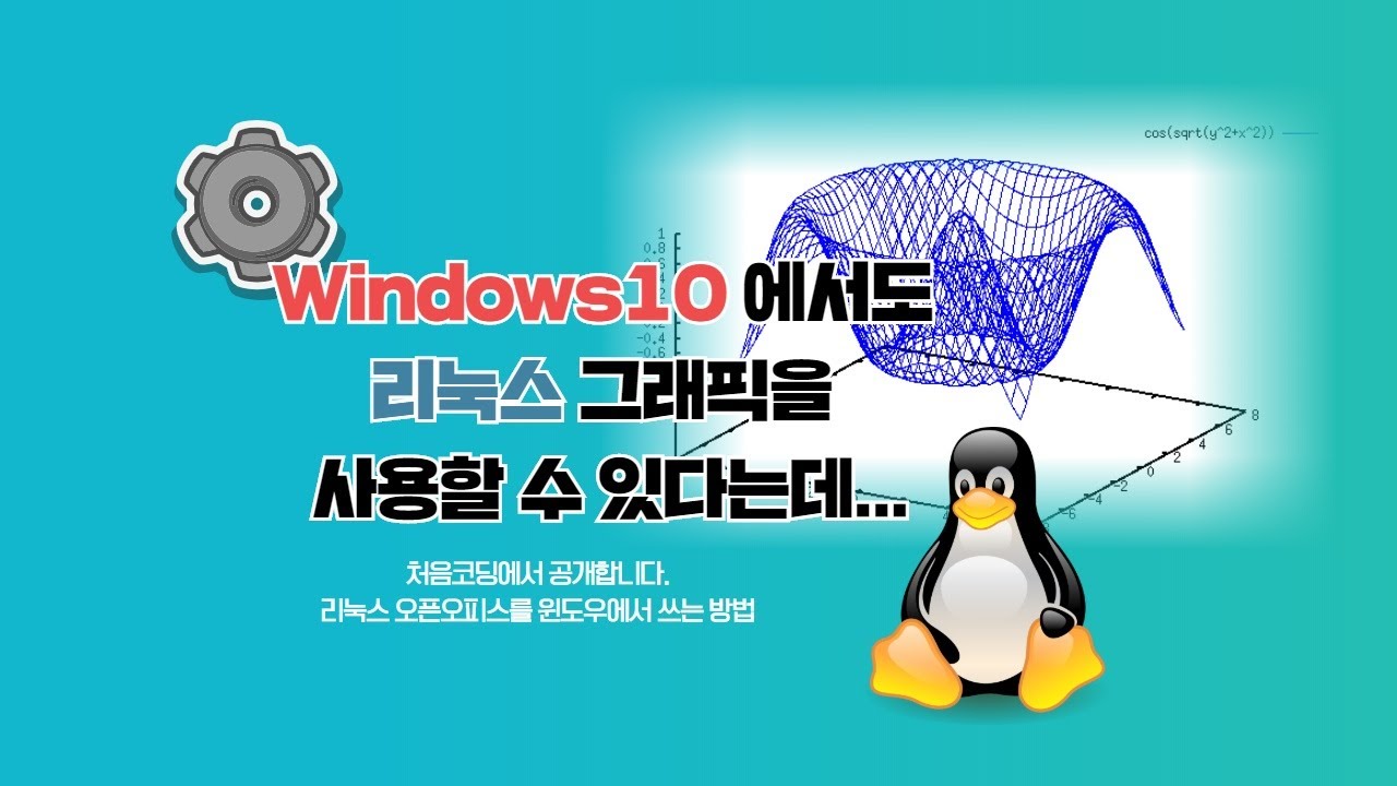  Update  윈도우에서 리눅스 그래픽 프로그램 실행시키기