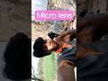 ✨📷micro lens 📷✨ please subscribe 🙏🙏✨📷😯#motivation #nature #lesson #camera