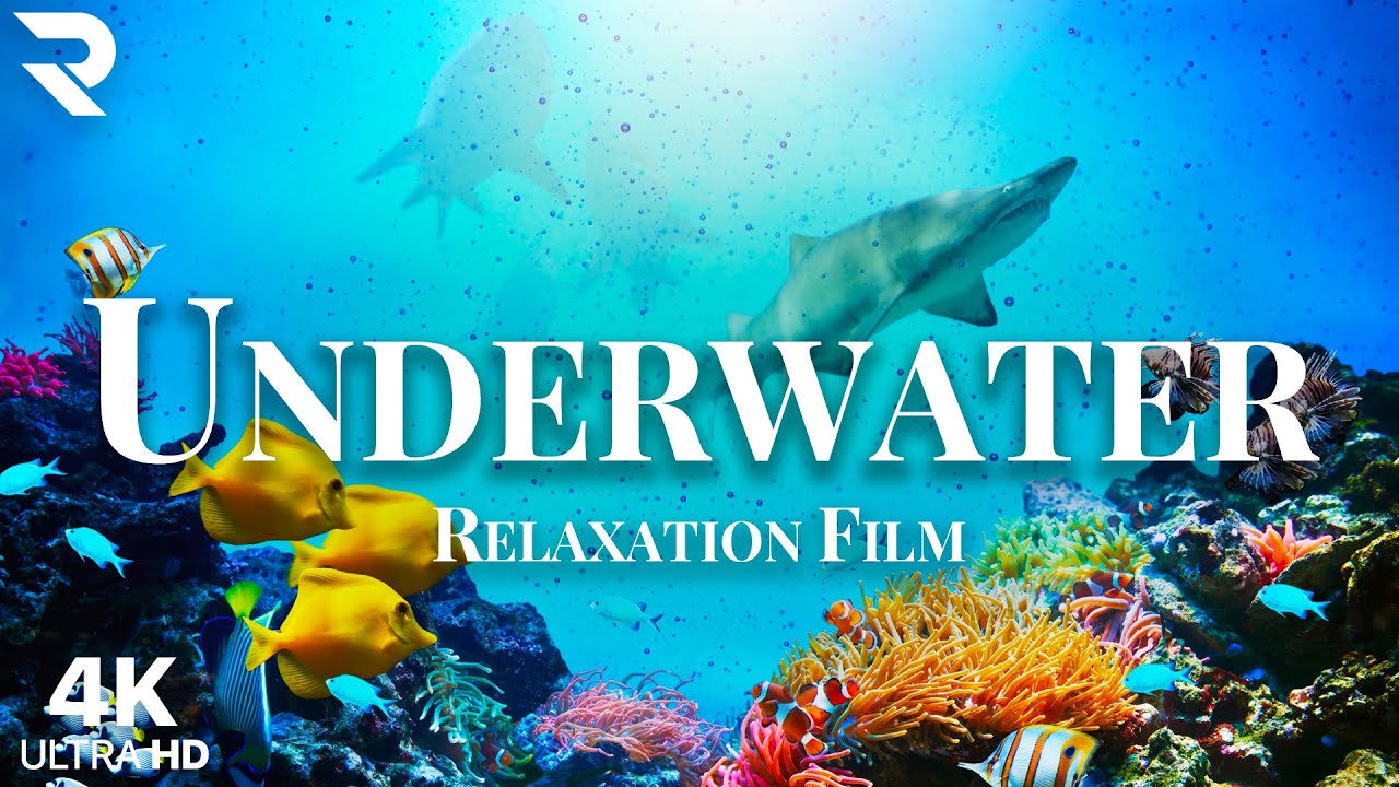 UNDERWATER WORLD in 4K - Beautiful Scenery & Relaxing Music - YouTube