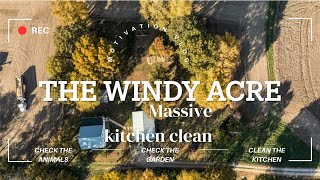 Clean my kitchen, check my garden and feed my pig with me! #thewindyacre