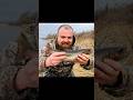 #troutfishing #brooktrout #fishing #trout #lurefishing #seatrout #brookie #brookies #fishingvideo
