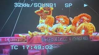 Disney World 2007 Festival Of The Lion King