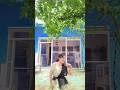 o lal duptte wali #dance #trending #youtubeshorts #bolleywoodsong