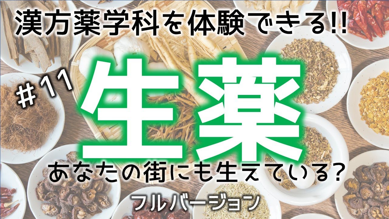 Vol.11 【体験講義】フル版 道端に生えている生薬 「漢方薬物学」(HAMAYAKU LAB. R03.12月号) - YouTube