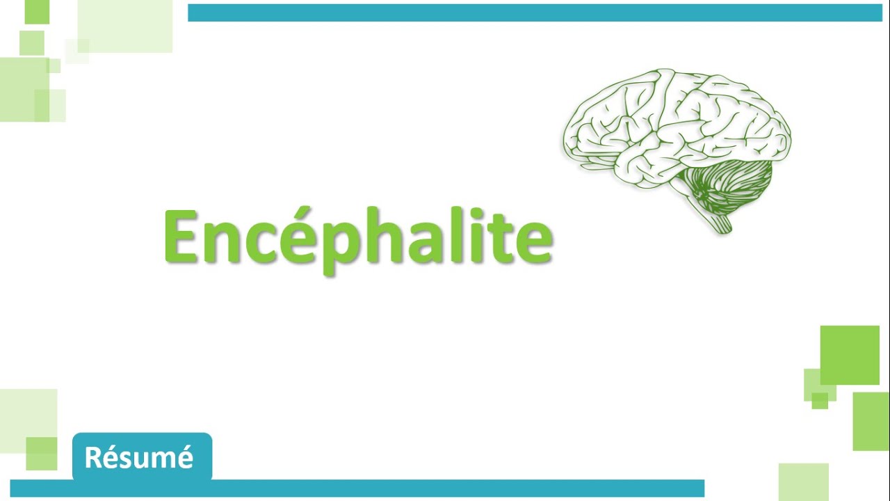 Encéphalite & Méningo_Encéphalite 🧠🩺 - Résumé - Neurologie