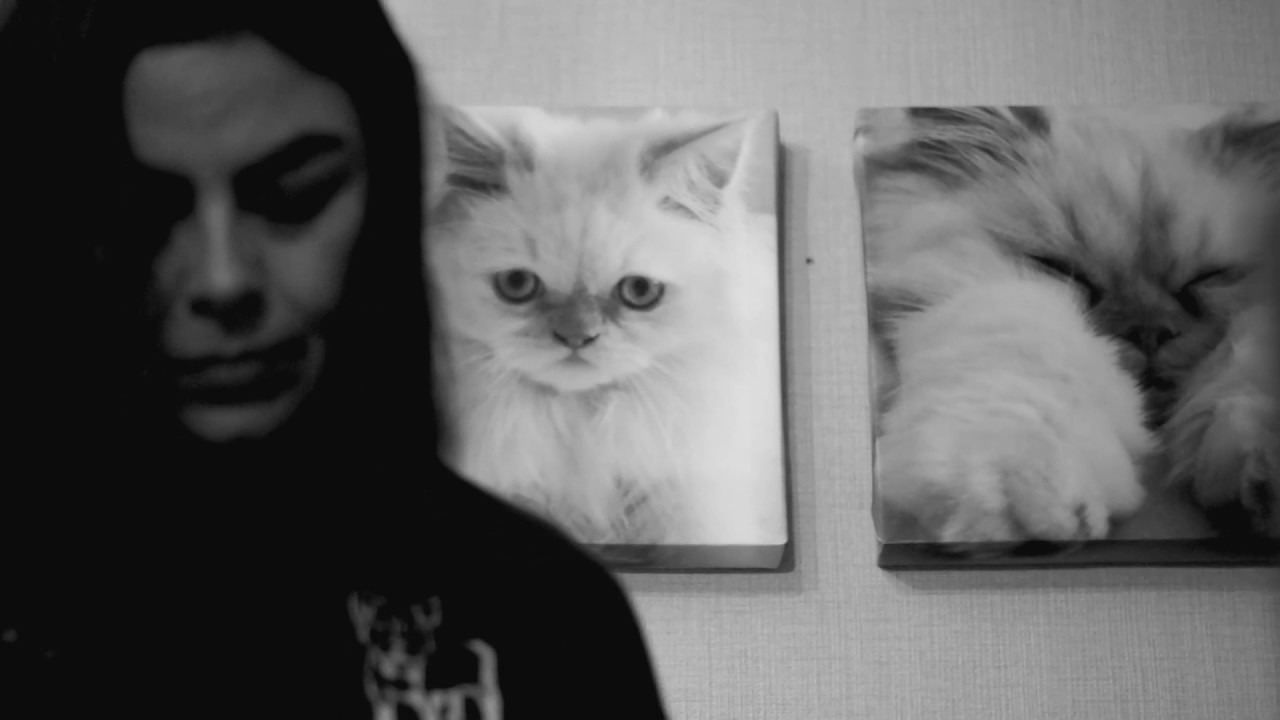 CASA ESTUDIO #3 - ALISU