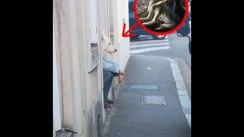 half-blind run, i suck at turn based combat