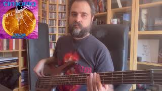 Video thumbnail of "TIMORIA - SENZA FAR RUMORE BASS COVER"