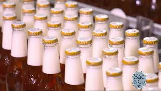 Michelob ULTRA Pure Gold