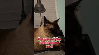 Santa Paws Update  Did He Come??? #mentalhealth #parentingwithmentalillness #mentalhealthawareness