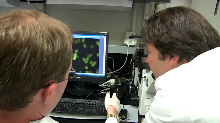 Alumni Profile: Dr. John Tisdale, NIH Researcher, ...