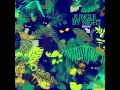 Jungle By Night - Afro Blue