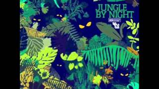 Jungle By Night - Afro Blue chords