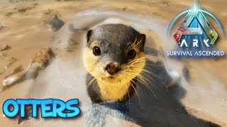 WHERE TO FIND OTTERS - ASA - THE ISLAND
