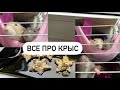 Уборка, Зоотовары, Рецепт вкусняшки, Fix price - для крыс 🐀