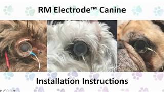 RM Canine Electrode Introduction and Installation