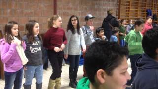 IMG 1539