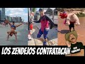 Los zendejos contratacan