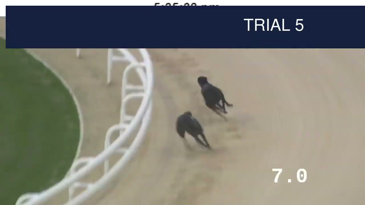 Dunstall Park Trials on 17th October 2025