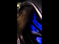 Night Time Hair Trick From The Walled Camaro 
