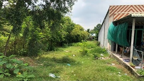 Đất Full thổ cư 10m x 55m Củ Chi giá 2,3 tỷ
