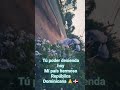 tú poder desienda hoy mí país hermoso República Dominicana 🙏🇩🇴 #palabradios #viral #amor #motivacion