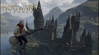 картинка: Мы теперь на метле. Hogwarts Legacy #8