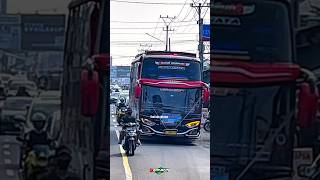 BUS TELOLET BASURI🥳 Candu Bgt Nada nya gess! #telolet #basuri #shorts