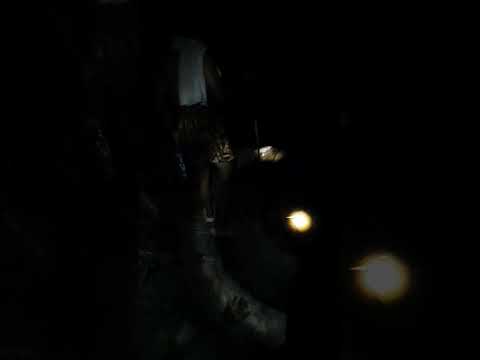 To fish at night ដើចាក់ត្រីពេលយប់ by Sery Official 