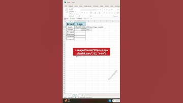 How to Add a Logo in Excel | Professional Branding in 1 Minute #focusinguide #exceltips #tutorial