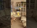 My house, my walls