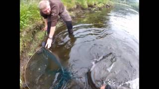 Field Testing Vosso Aug 2012