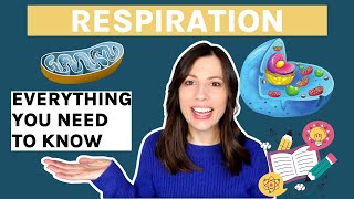 AQA A-Level Biology: Respiration - Learn the Entire Topic in One Video! Aerobic & Anaerobic