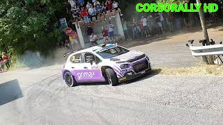 9° Rally Roma Capitale 2021 Show, Crash and Mistake