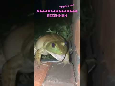 RAAAAAAAAAAAA EEEEEEH