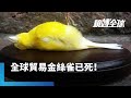 媒體健全性爭議