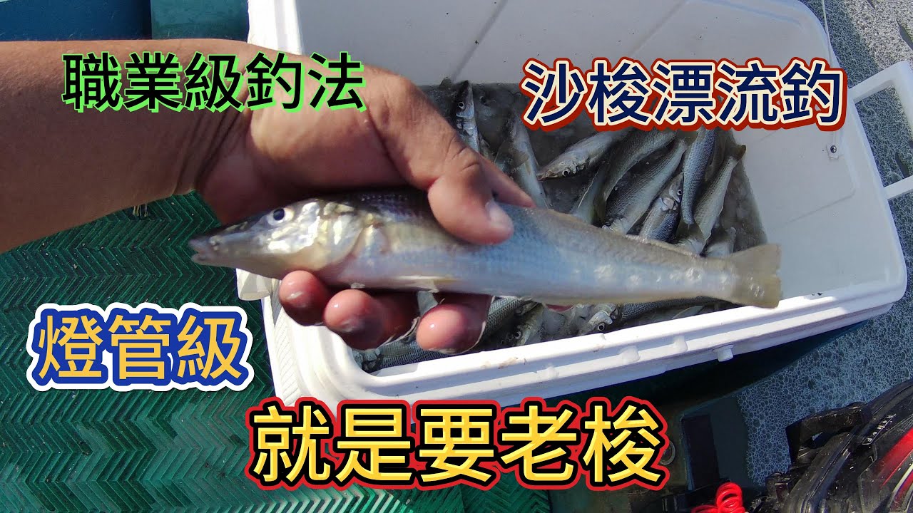 沙梭漂流釣之就是要老梭|p特船|自製小船