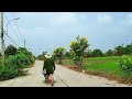 Đi thu hoạch bí và cân bí