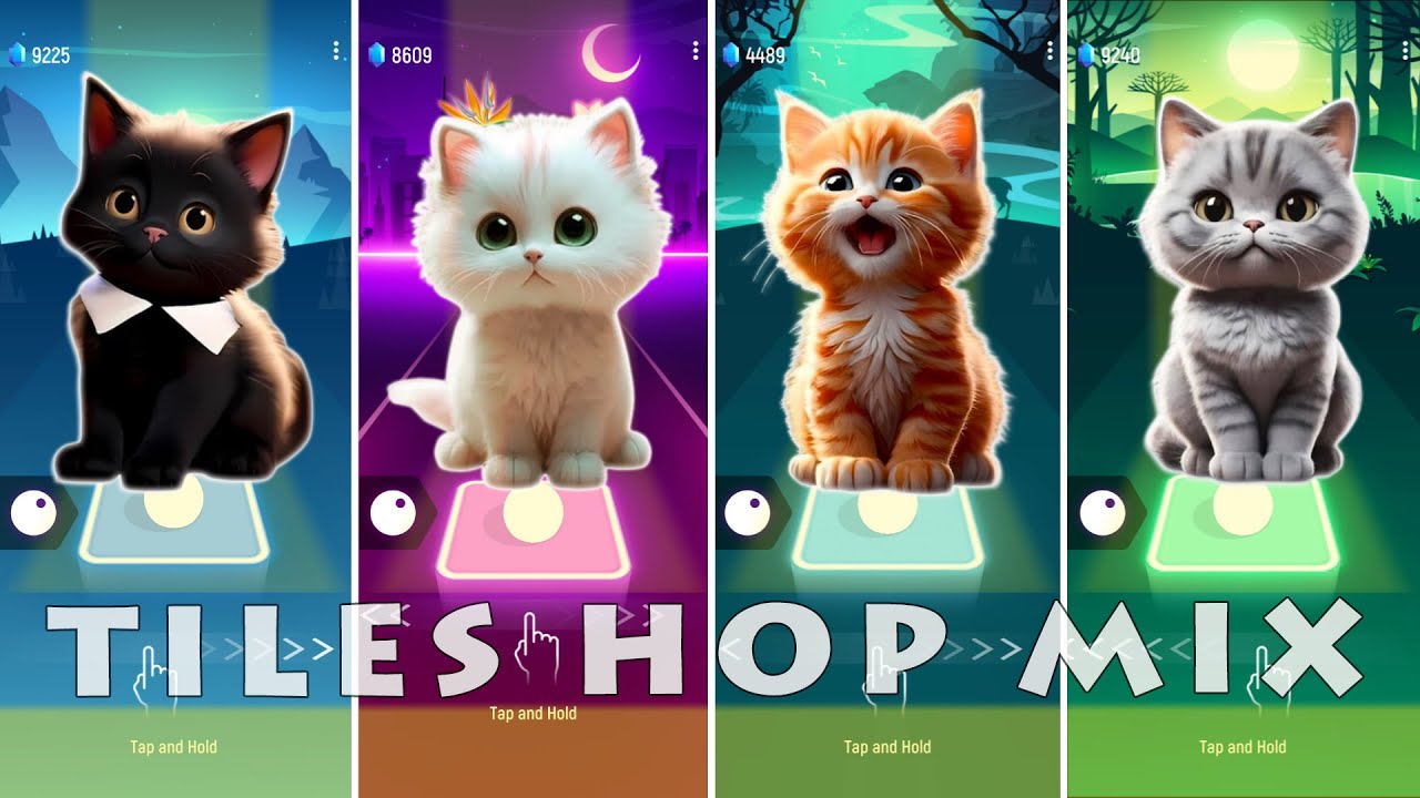 cute-cats-wednesday-lady-gaga-bloody-mary-vs-blackpink-lisa-money-vs