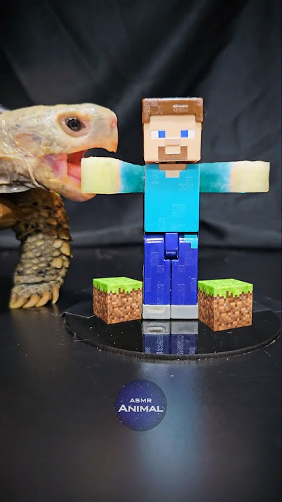 Minecraft ASMR Mukbang Eating Steve 🐢 Turtle Tortoise