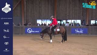 NRHA STALLION AUCTION