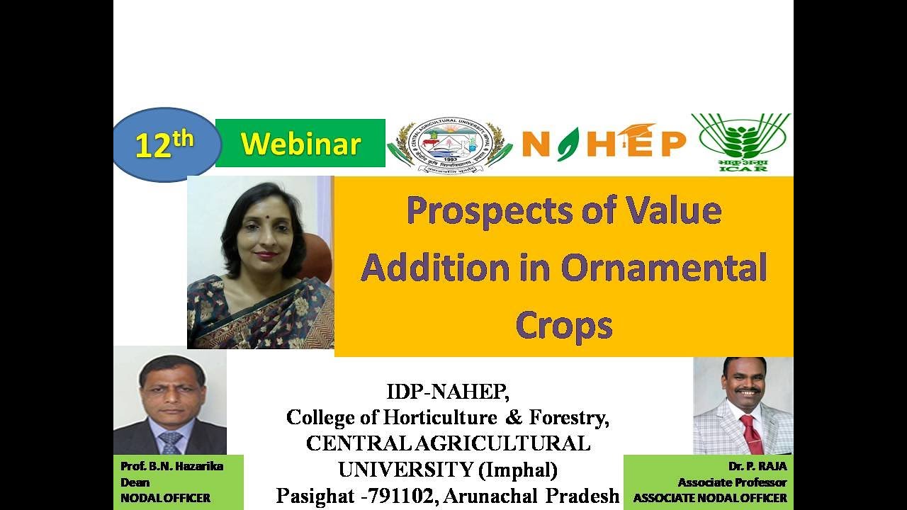 prospects of value addition in ornamental crops YouTube