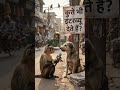 Realistic Dog Interview on Indian Street 🐶 | Bandar Reporter Funny Video | Trending Now