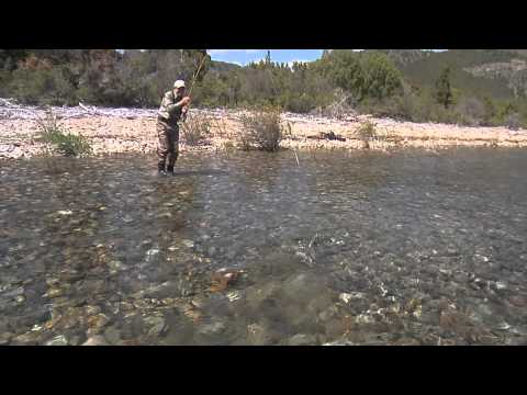 Fly Cast America - Boca del Traful (Salmon del Atl...