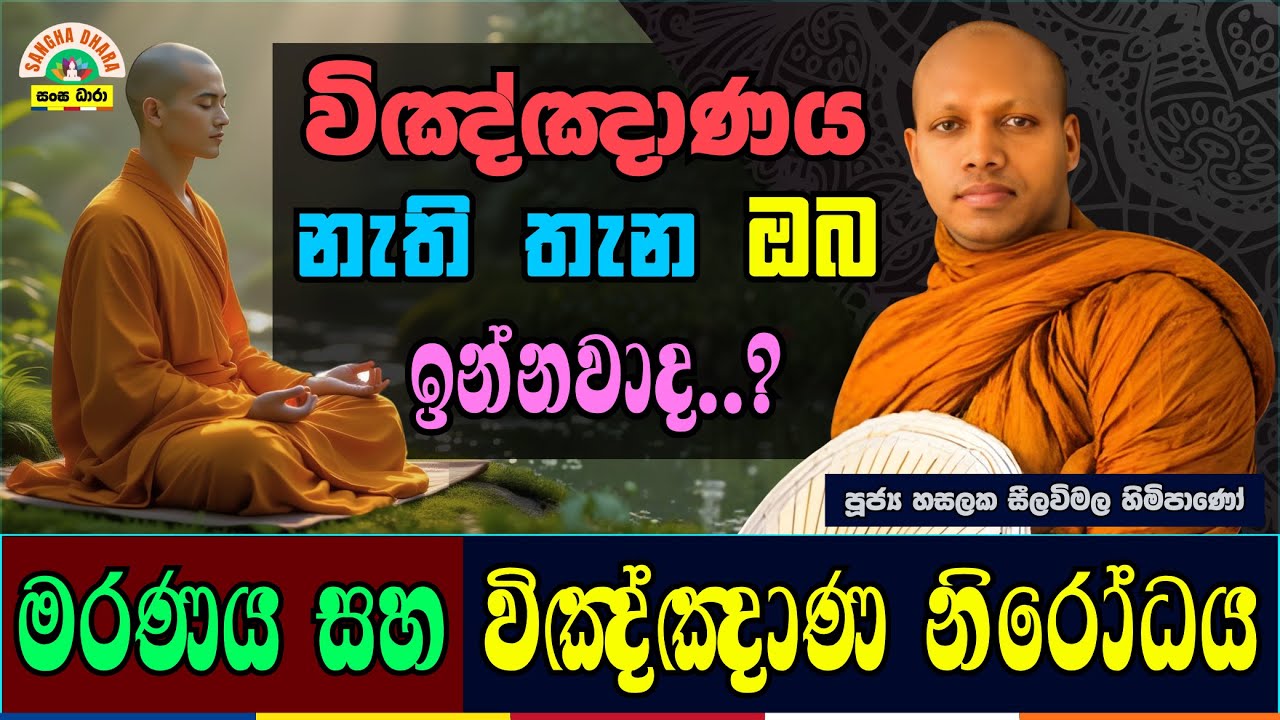 සසර ගමනට ඉන්ධන දෙන විඤ්ඤාණය | Hasalaka seelavimala thero | හසලක සීලවිමල හිමි