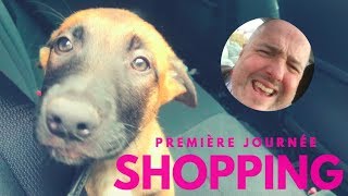 Première journée SHOPPING avec NEWTON ( Chiot Malinois )