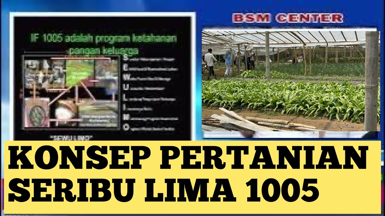 KONSEP PERTANIAN  SERIBU LIMA 1005 #bayudiningrat #bayusehatmandiri #pertanian