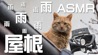 自然環境音 雨が屋根に当たる音 フリー素材 Asmr Youtube