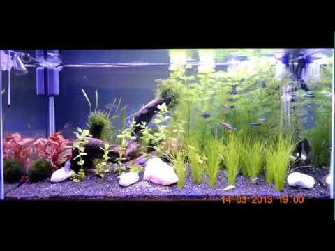 Plafoniere Led Per Acquari : Nicrew lampada led acquario u strange things