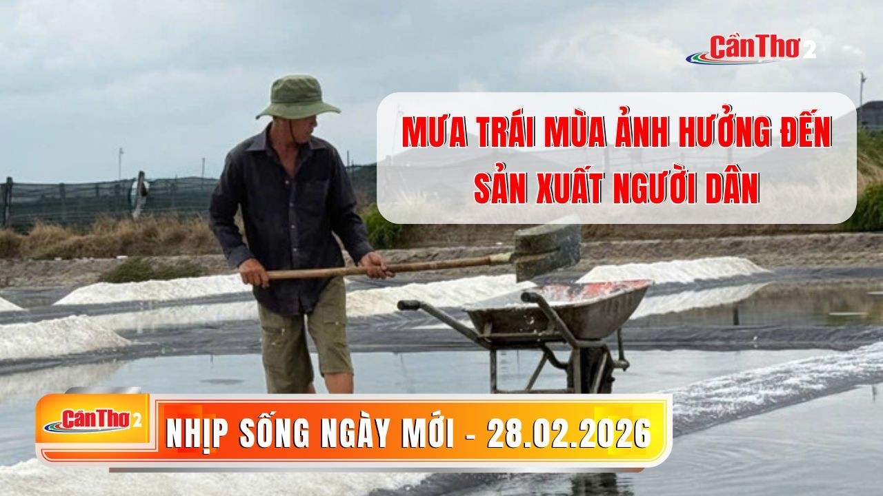 Mưa trái mùa ảnh hưởng đến sản xuất người dân | Nhịp sống ngày mới 28.02.2026 | Cần Thơ